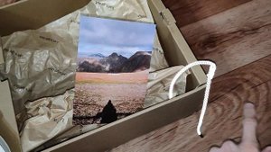 Обзор на ботинки Hike Jusper двухцветные (Native)