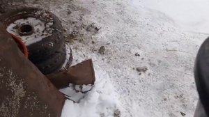 Вес кроликов породы Фландр в 4 месяца.