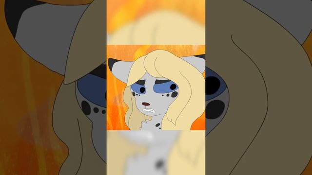 Ты вообще видел Ежевику! Он размером с Барсука! Белка и Уголёк. #котывоители #белка #уголёк #ежевик смотреть онлайн