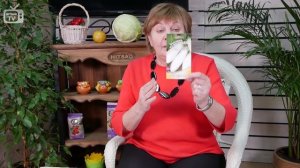 БАКЛАЖАНЫ ? Обзор лучших сортов для закрытого грунта ? ГАВРИШ