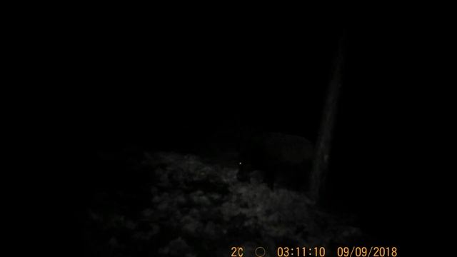 ПРИВАДА НА КАБАНА смотреть онлайн