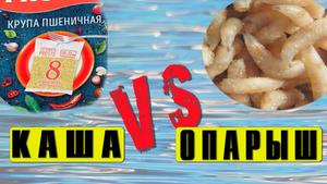 Рыбалка на фидер. Каша против Опарыша   Какая добавка лучше