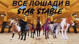 Все лошади в Star Stable поколения 2 - 3 (2015-2020 г.)