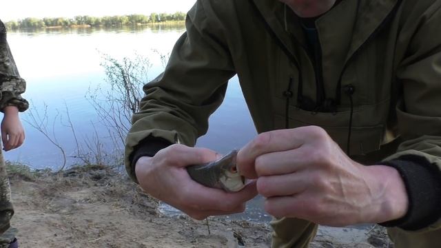 Вечерняя рыбалка ОКА 2021! смотреть онлайн