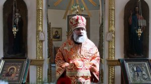 Проповедь епископа Питирима (Творогова) в день памяти иконы Божией Матери "Живоносный Источник"