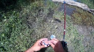 Ловля карася с берега на соску ( пробка ).