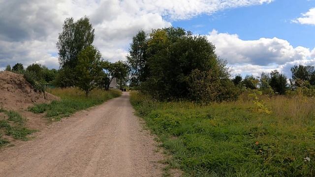 Как наши ЧИХУАХУА относятся к ДЕТЯМ /купить щенка в питомнике РКФ Мари Мистик продаю щенков чихуаху