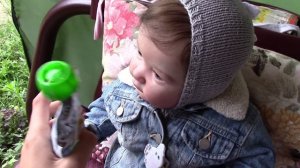 Vlog Выходные с реборном Тобиахом