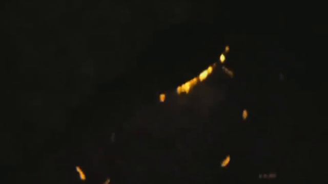 Звери смотреть онлайн