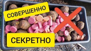 ПРИКОРМКА ДЛЯ РЕКИ НА САЗАНА || СОВЕРШЕННО СЕРЕТНО