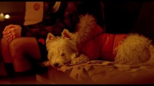 Страна ОЗ трейлер