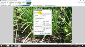 Как изменить размер фото, картинки с помощью программы paint.net
