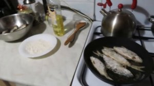 VLOG Пробуем давать Симке рыбу