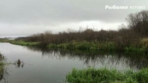 ЛОВИТЬ РЫБУ С ЛОДКИ(мотор)ЗАПРЕЩЕНО.оз Подгорное