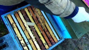 Осенние работы на моей пасеке