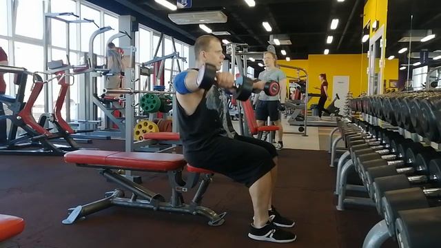 15 Отведения гантелей сидя,8 смотреть онлайн
