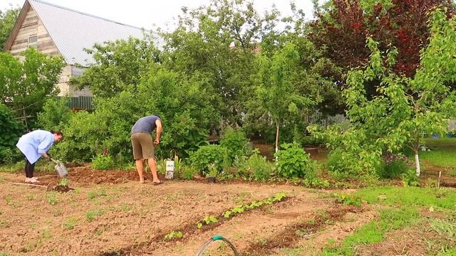 ПРОСТЫЕ ИДЕИ ДЛЯ САДА СВОИМИ РУКАМИ?ИМИТАЦИЯ КАМНЯ? ОБРАДОВАЛИ РОДИТЕЛЕЙ - ПРЕОБРАЗИЛИ УЧАСТОК смотреть онлайн