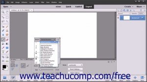 Photoshop Elements 15 Tutorial Using the Brush Preset Picker Adobe Training