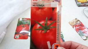 КАКИЕ ТОМАТЫ ВЫБРАТЬ? СОРТ МЕТЕЛИЦА. Обзор Ольги Черновой.