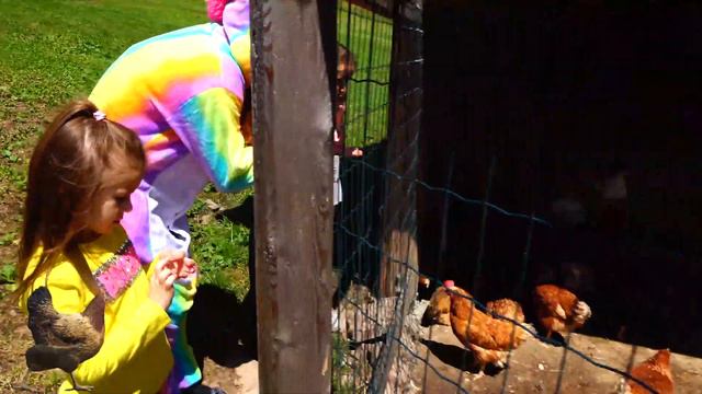 Приключения детей на ферме - дети показывают разных животных смотреть онлайн