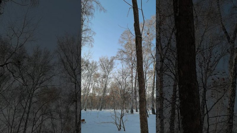 Карточка видео