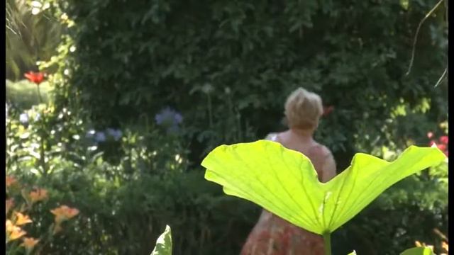 АБХАЗИЯ СУХУМ TV-MIX ABKHAZIA SUKHUM TV-MIX смотреть онлайн