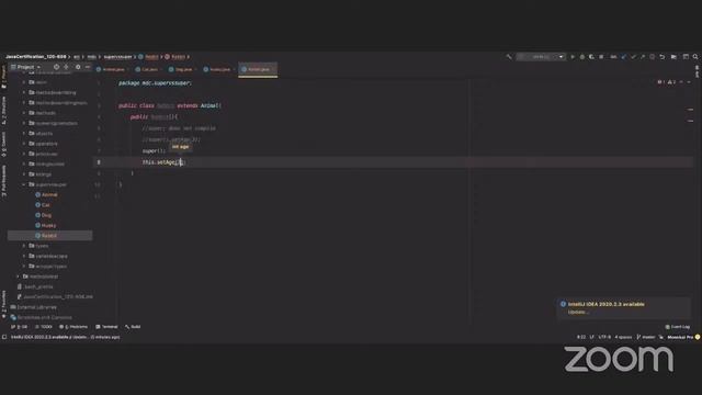 Oracle Certified Java Programmer 1Z0-808: Inheritance Part 2, Overloading vs Overriding смотреть онлайн
