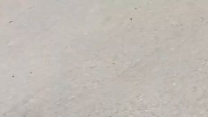 Дроп на самокатах в скейт парке . + обзор на самокаты !