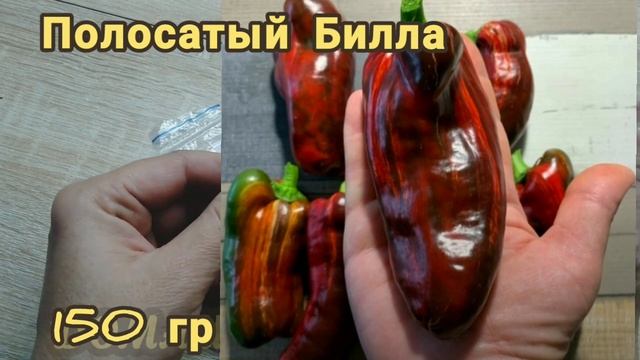 Обзор ПЕРЦЕВ по сортам на 2023 год