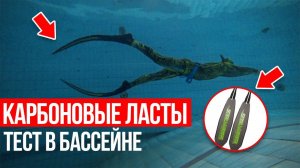 ТЕСТИРУЕМ ЛОПАСТИ для ласт SPEEDER в бассейне. СРАВНЕНИЕ ласт разной степени жесткости