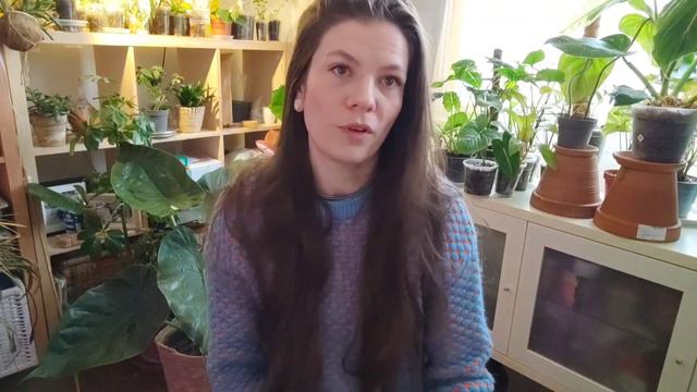 Les produits / engrais que j'utilise. Entretenir et nourrir ses plantes. смотреть онлайн