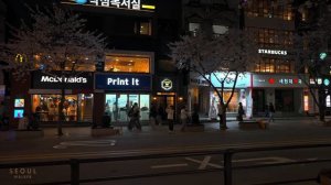 Night Cherry Blossom Road and Sinchon Blues in Seoul _ Korea Travel