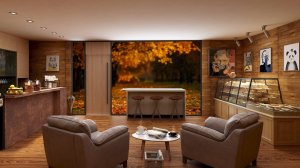 ? Золотая осень и нежный шум дождя за окном уютного кафе для сна ☔️ Расслабляющий осенний дождь ?