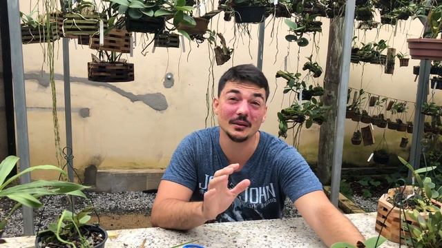 MAIS FLORAÇÃO DE ORQUÍDEAS, DICAS DE CULTIVO DE ORQUÍDEA E VÁRIAS ESPÉCIES! Aclandiae SUNSHINE! смотреть онлайн
