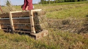 Испытание ЗВЕРЬМАШИНЫ для тюкования сена