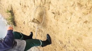 Припять Рыбалка