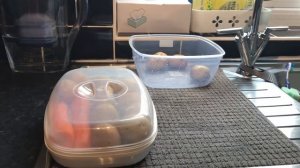 КАК СВАРИТЬ КАРТОШКУ В МИКРОВОЛНОВКЕ БЕЗ ВОДЫ / САМАЯ БЫСТРАЯ ВАРКА ОВОЩЕЙ НА САЛАТ БЕЗ ВОДЫ