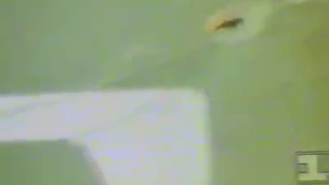 Это следствие вывода войска из Афганистана смотреть онлайн