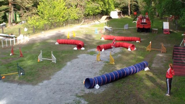 джампинг 2 пудель номер 38 смотреть онлайн