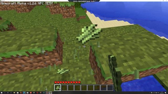 обзор alpha 1.2.6 npc test @hikko2009