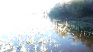 Синапное Солнечное озеро