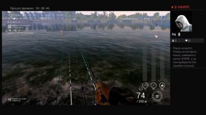 уникальная толстогубая кефаль Гент-Тернёзен