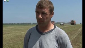 Чтобы получить мраморное мясо