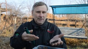 Бражник мертвая голова почтой. Нескучная жизнь.