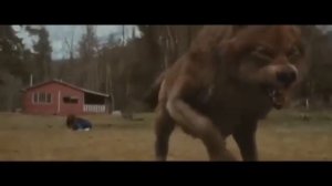 Безумно можно быть первым мем волк оригинал