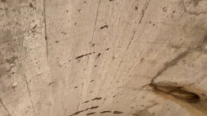 Бочка Смерти в Севастополе, где захватывает Дух❗️