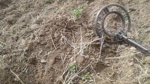 День пятаков. Металлоискатель HOOMYA GC 1071