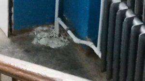 Принципиальная уборщица в подъезде