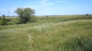 КЛАДОИСКАТЕЛИ СИБИРИ