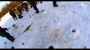 На форель. Рыбалка в РК Посейдон.